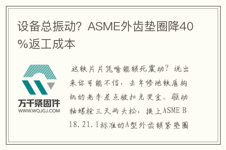 設(shè)備總振動(dòng)？ASME外齒墊圈降40%返工成本