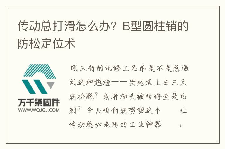 傳動(dòng)總打滑怎么辦？B型圓柱銷的防松定位術(shù)