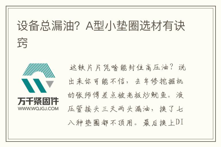 設備總漏油？A型小墊圈選材有訣竅