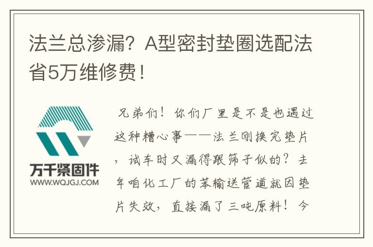 法蘭總滲漏？A型密封墊圈選配法省5萬維修費！