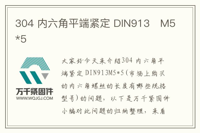 304 內六角平端緊定 DIN913	M5*5