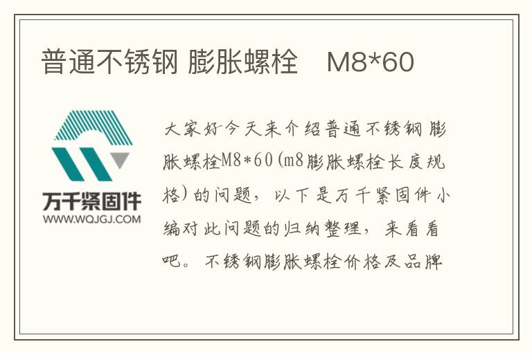 普通不銹鋼 膨脹螺栓 M8*60