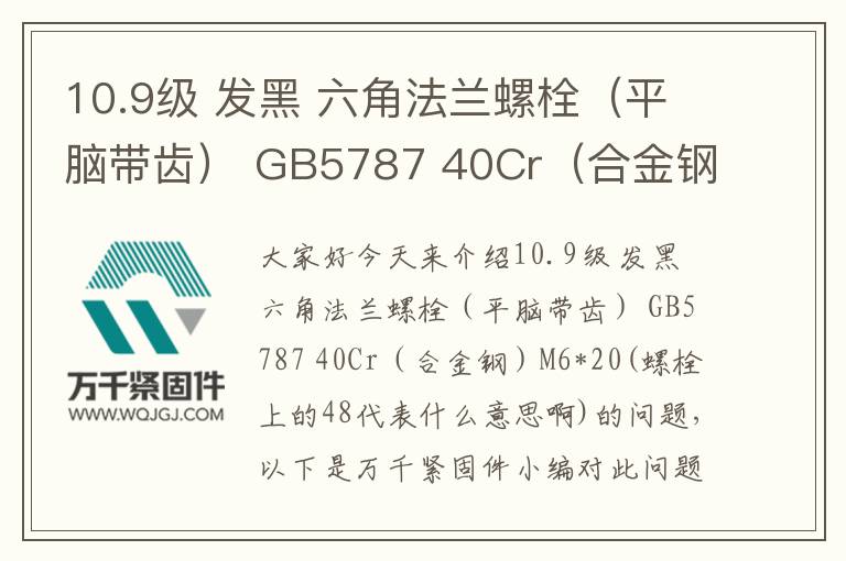 10.9級 發(fā)黑 六角法蘭螺栓（平腦帶齒） GB5787 40Cr（合金鋼）	M6*20