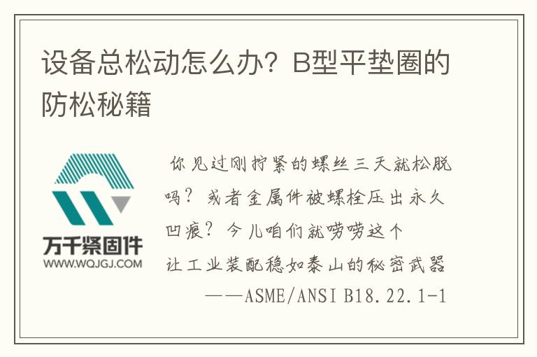 設(shè)備總松動怎么辦？B型平墊圈的防松秘籍
