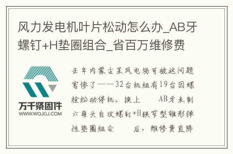 風(fēng)力發(fā)電機(jī)葉片松動怎么辦_AB牙螺釘+H墊圈組合_省百萬維修費(fèi)