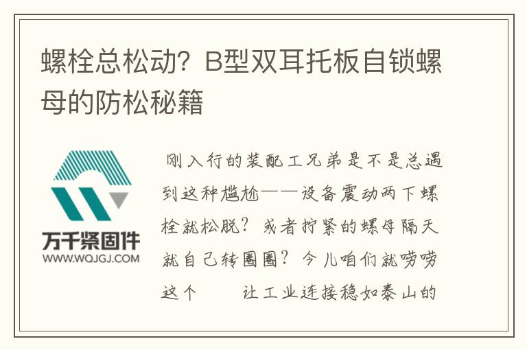 螺栓總松動？B型雙耳托板自鎖螺母的防松秘籍