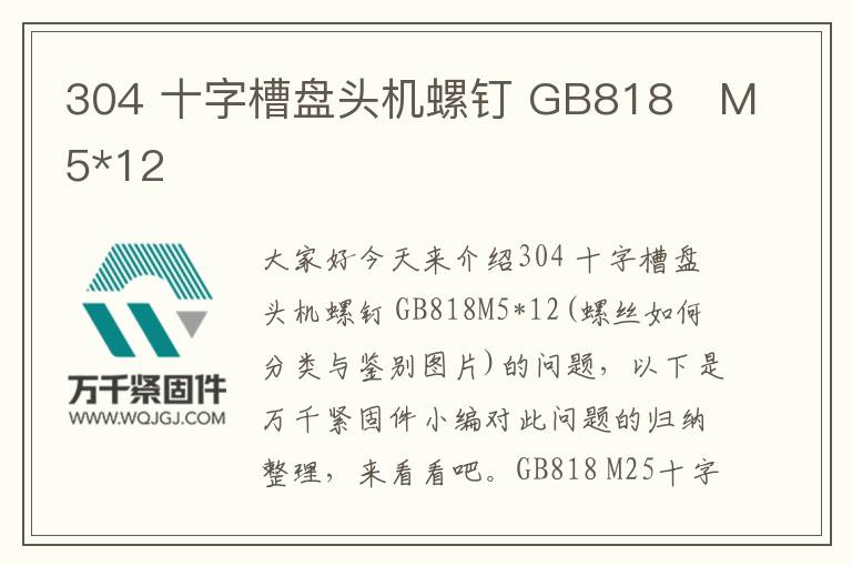304 十字槽盤(pán)頭機(jī)螺釘 GB818	M5*12