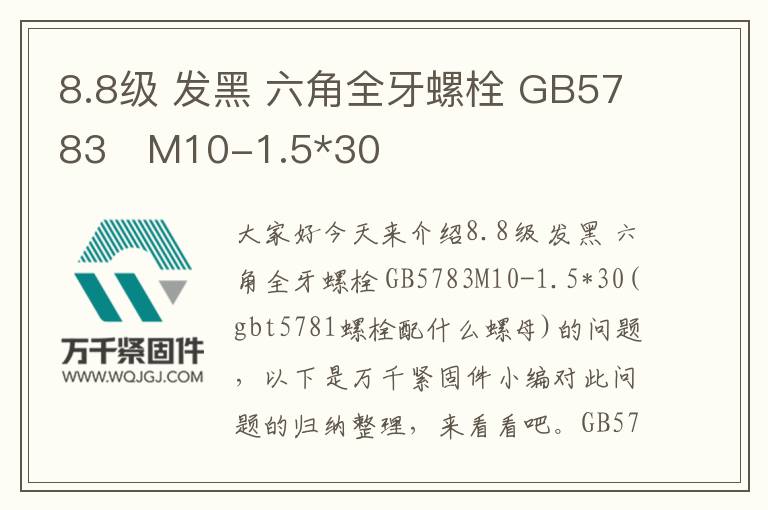 8.8級(jí) 發(fā)黑 六角全牙螺栓 GB5783	M10-1.5*30