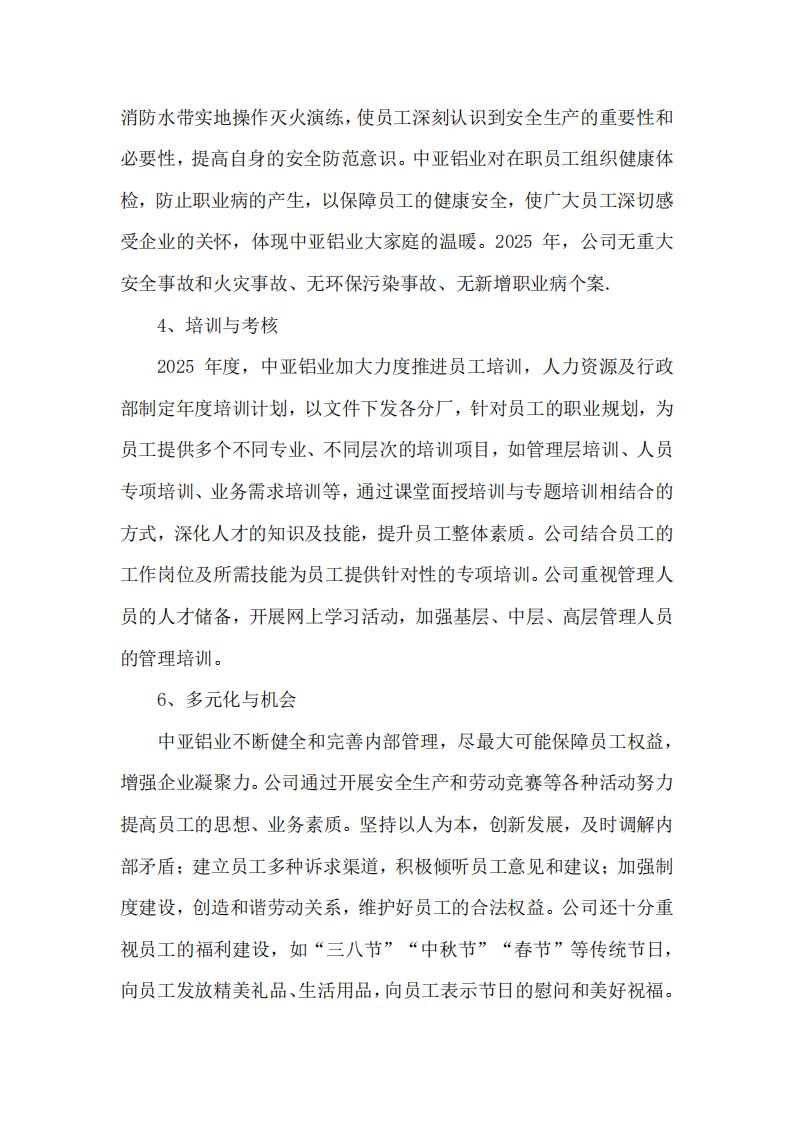 12可持續(xù)發(fā)展報(bào)告(圖13)